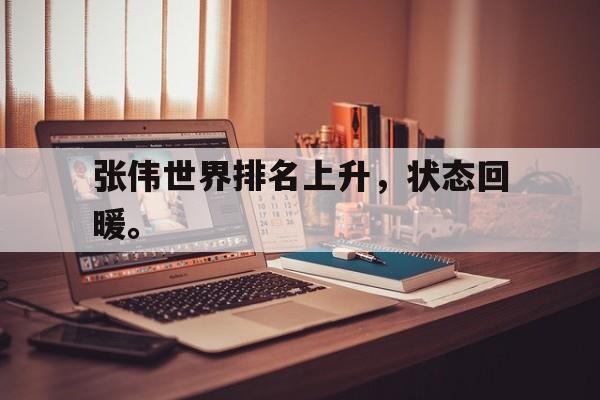 开云手机登录入口-张伟世界排名上升，状态回暖。