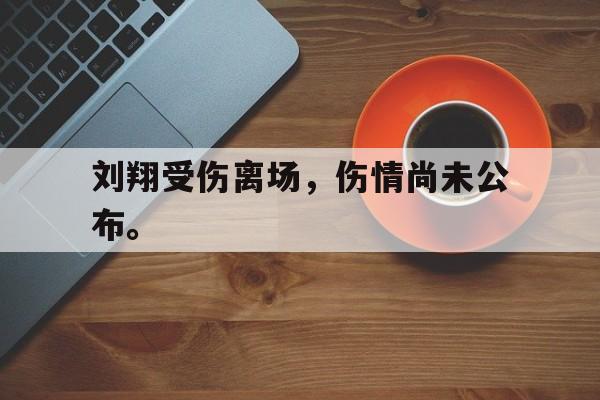 开云手机平台-刘翔受伤离场，伤情尚未公布。